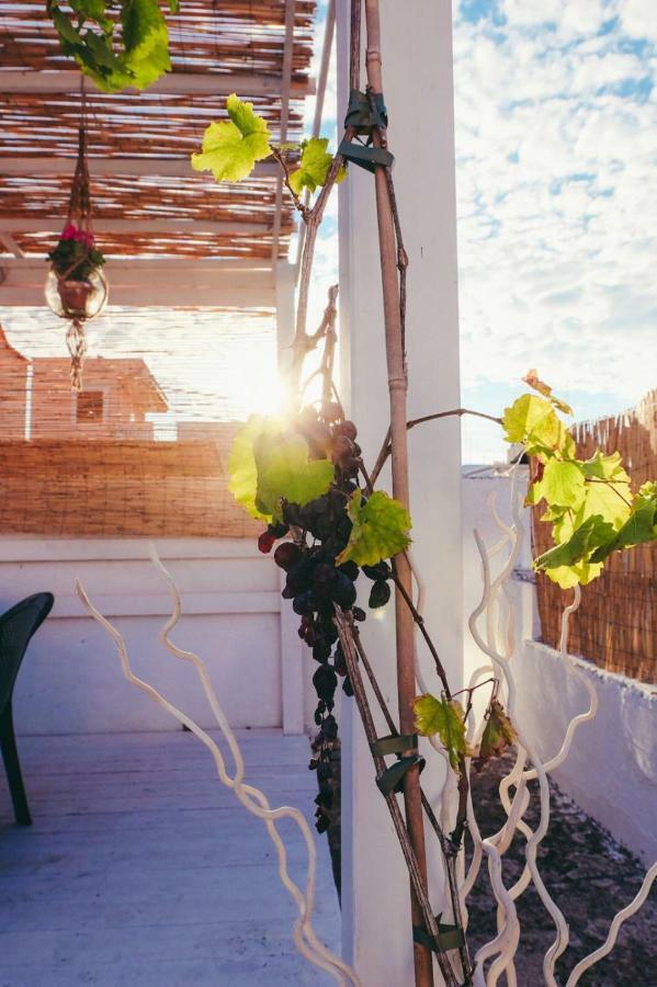 Dimora Storica Monopoli Villa Kültér fotó